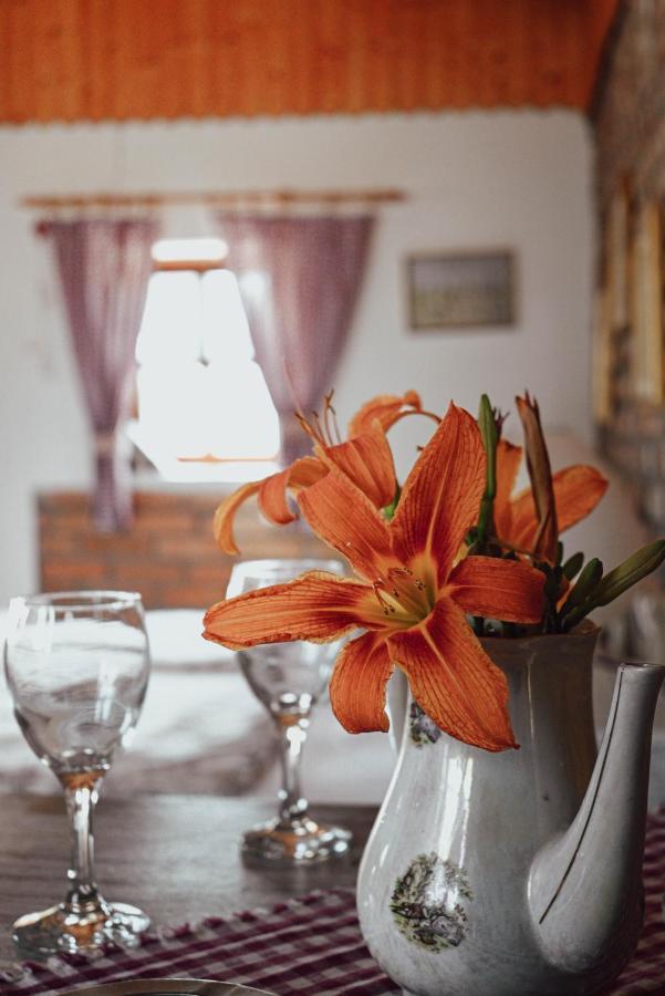 Studio Apartment Romeo Velika Gorica Εξωτερικό φωτογραφία